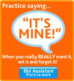 BidAssistant_275x300-1[1]